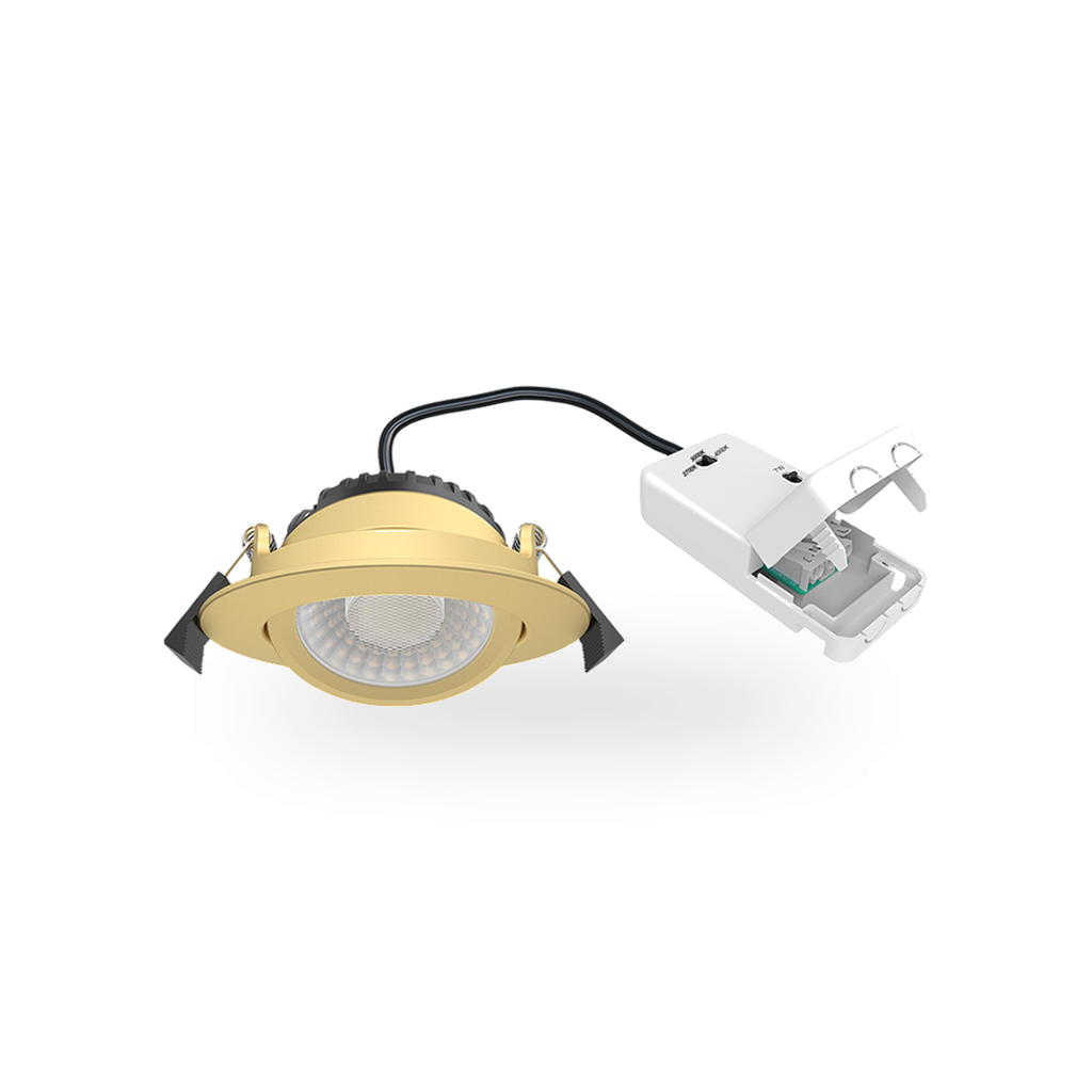 Detailweergave van de externe LED driver met IP20 classificatie, behorend bij de messingkleurige inbouwspot, toont de input- en outputaansluitingen.
