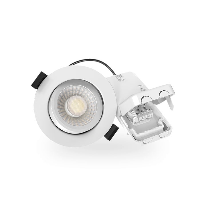Close-up van de externe driver met IP20-classificatie voor de witte LED inbouwspot, toont de compacte behuizing en elektrische connectoren.